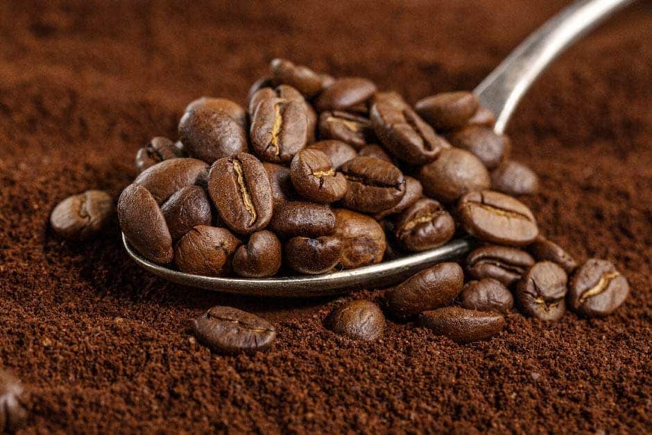 Granos de café InduOne